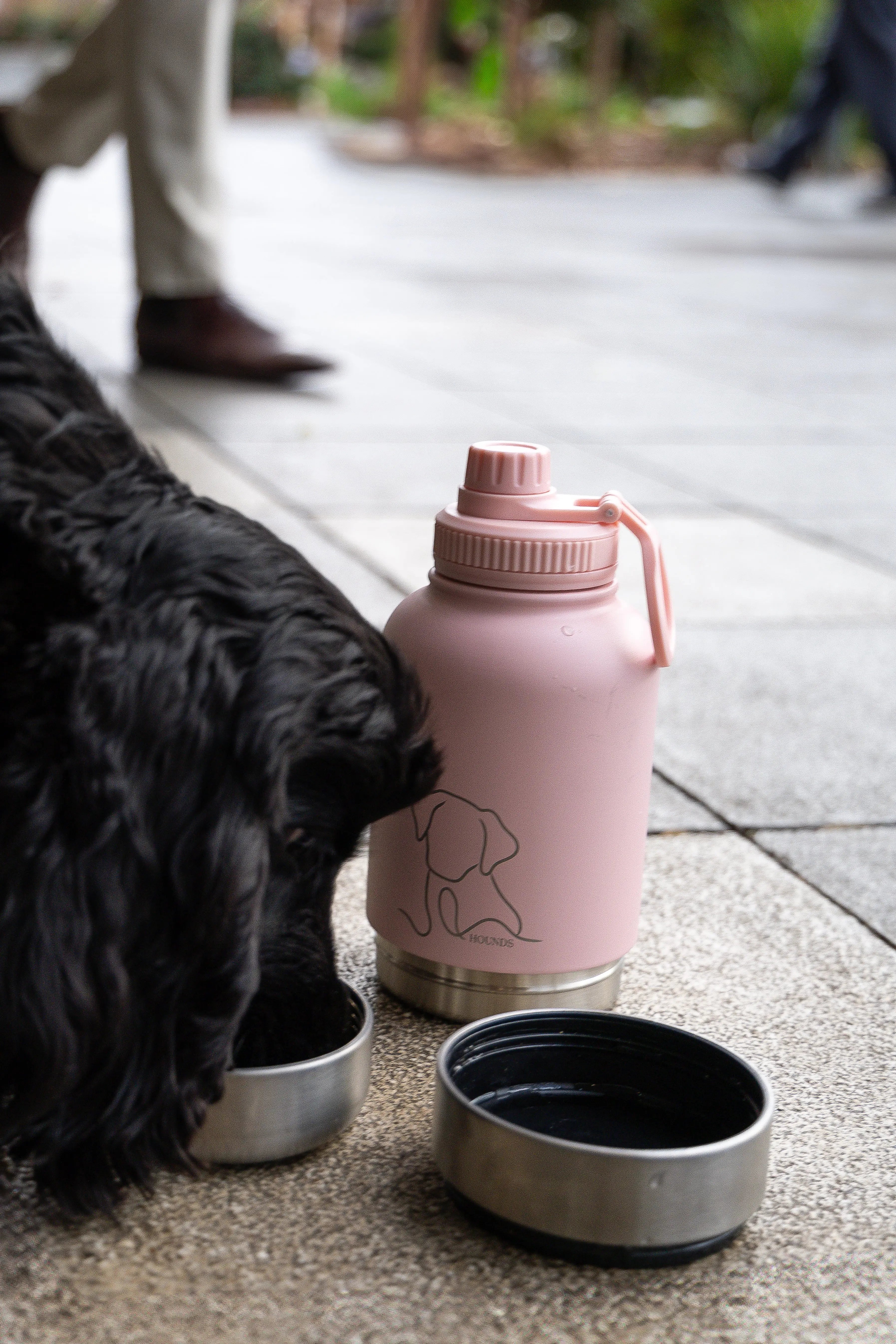 The Companion Bottle by HOUNDS Hounds-Temp