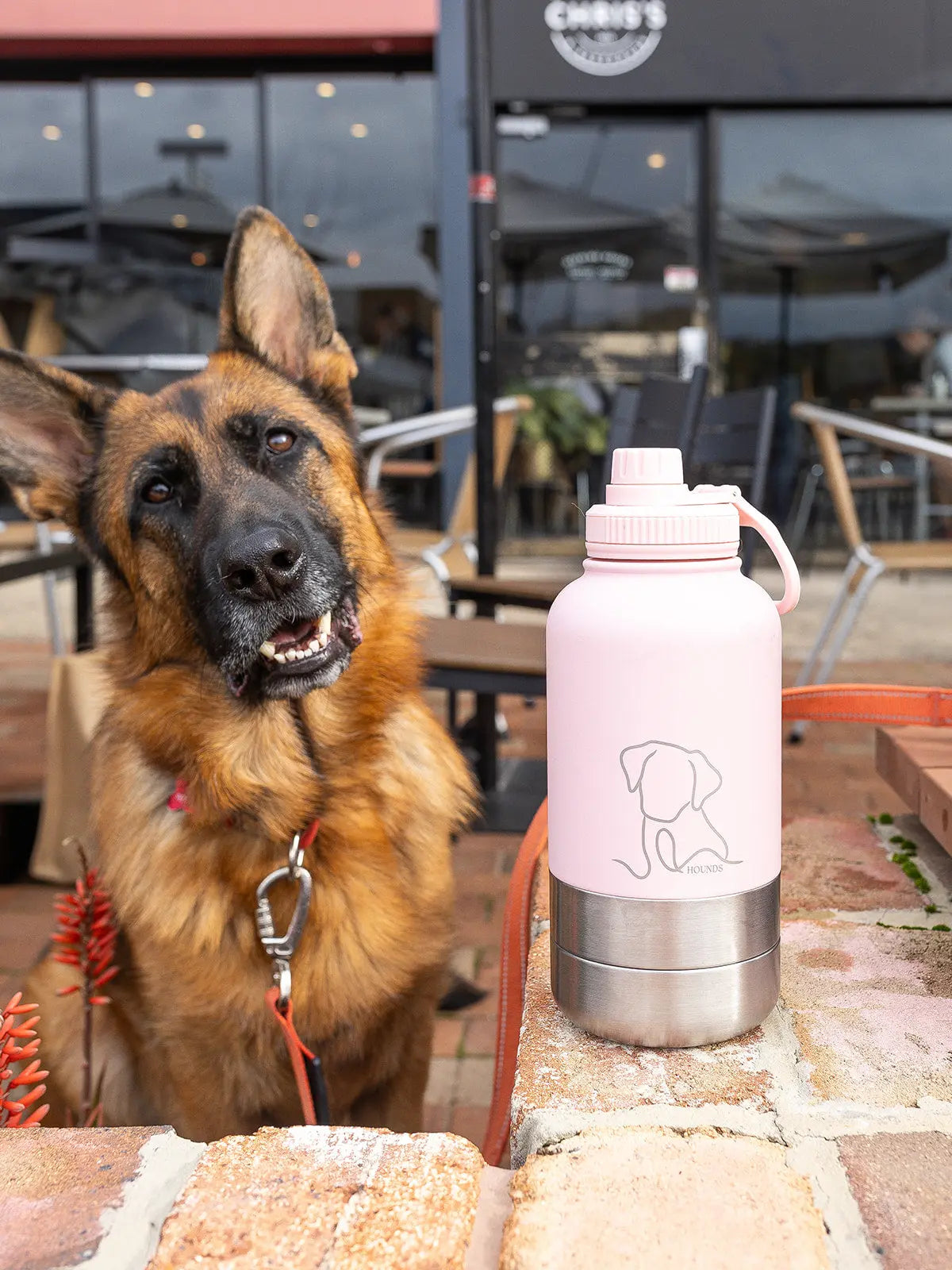 The Signature Companion Set – Bag & 3-in-1 Bottle Bundle- PREORDER houndsunleashed